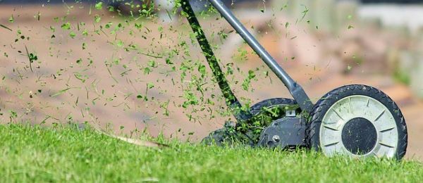 Entretien de votre pelouse : pourquoi choisir une taille-haie thermique ?
